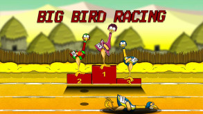 Big Bird Racing