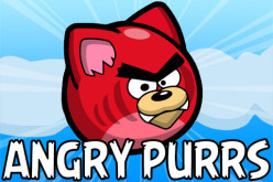 Angry Purrs