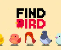 Find Bird