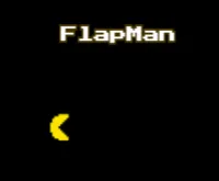 FlapMan