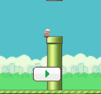 Flappy Will