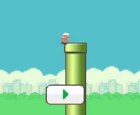 Flappy Will