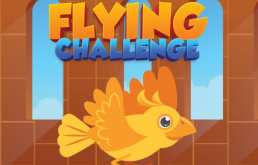 Flying Challenge