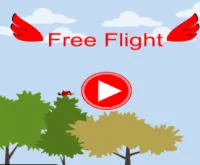 Free Flight