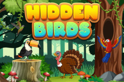 Hidden Birds