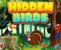 Hidden Birds