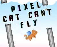 Pixel Cat Can't Fly