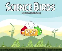 Science Birds