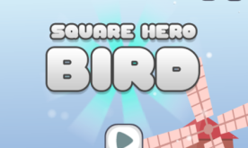 Square Hero Bird